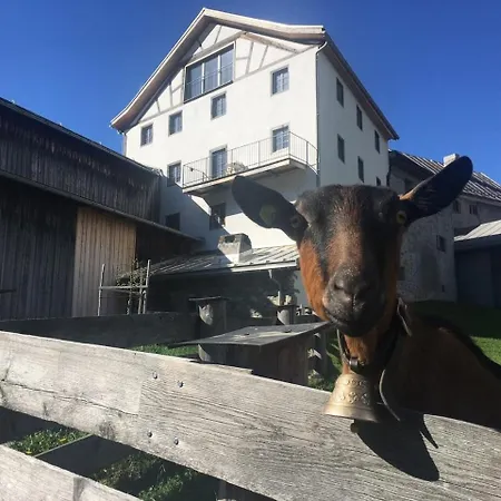 Tgesa Antgerna 1. Og Lägenhet Salouf